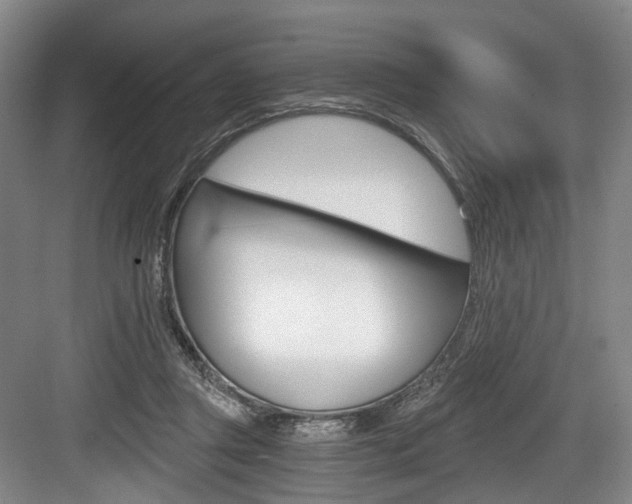 X0000084040357200702160859