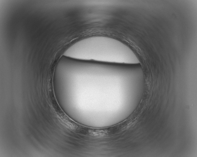 X0000084040359200702160859