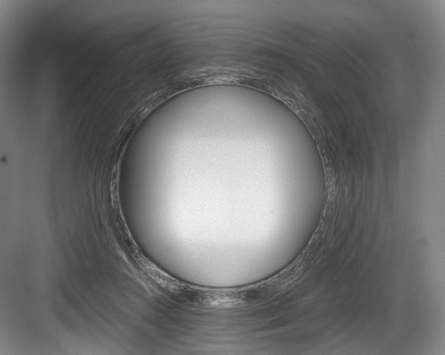 X0000084040360200702160859