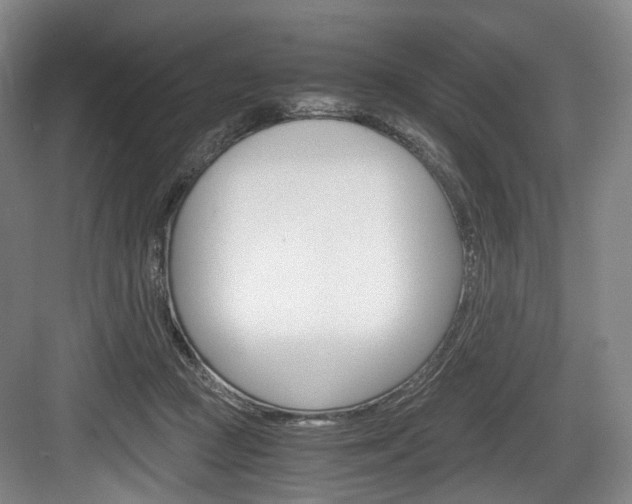 X0000084040361200702160859