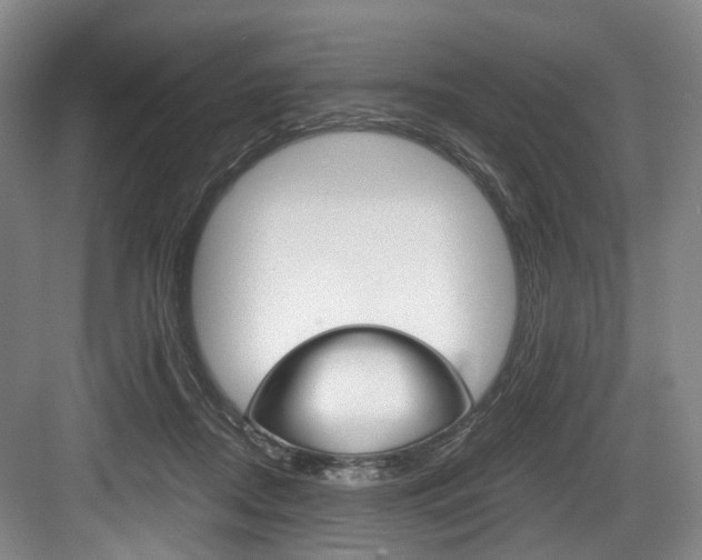 X0000084040362200702160859