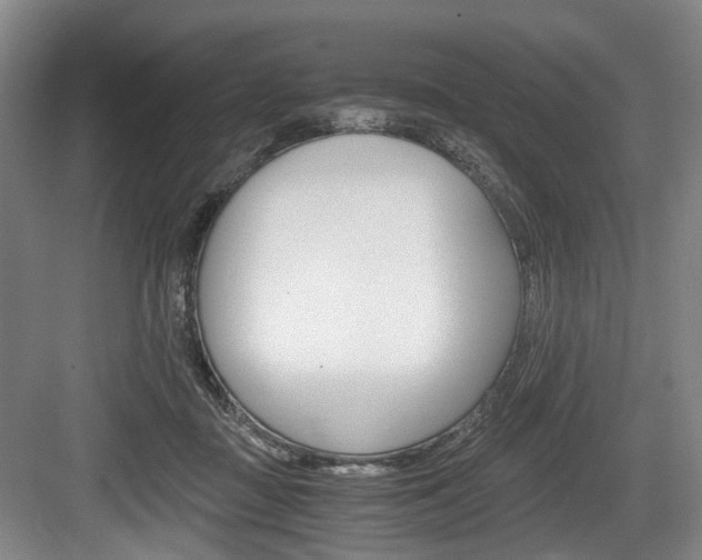 X0000084040363200702160859