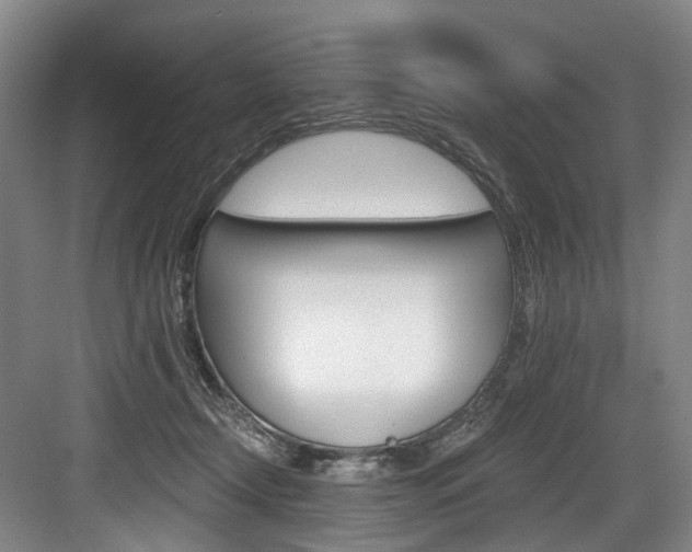 X0000084040366200702160859