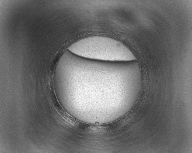 X0000084040367200702160859