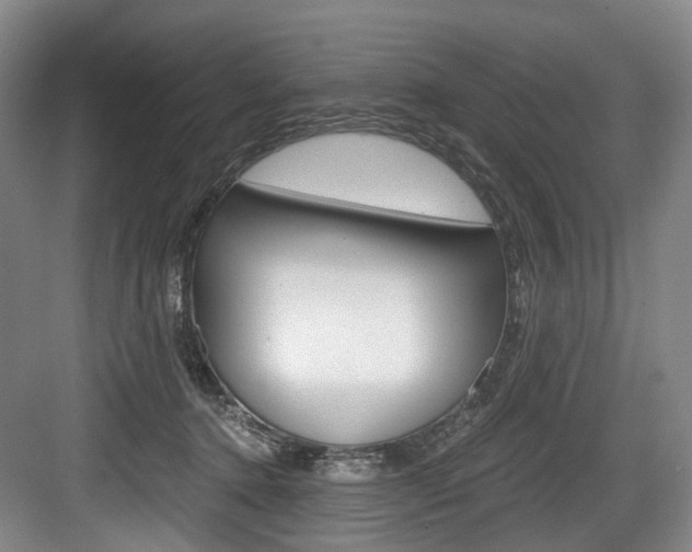 X0000084040368200702160859