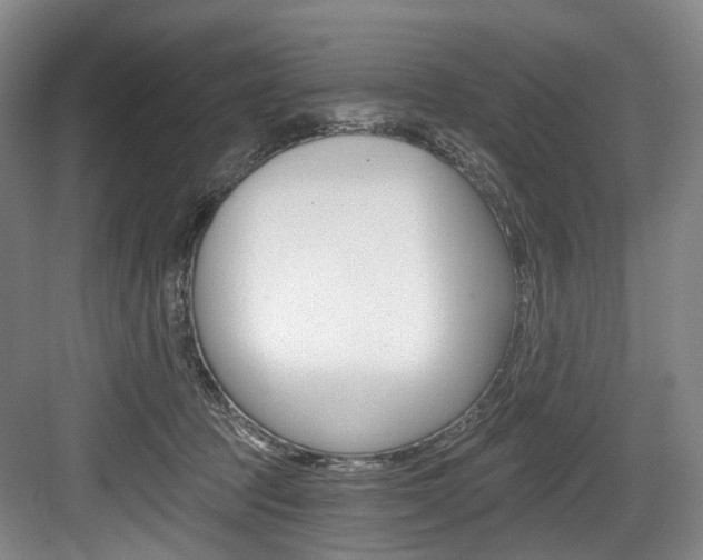 X0000084040369200702160859