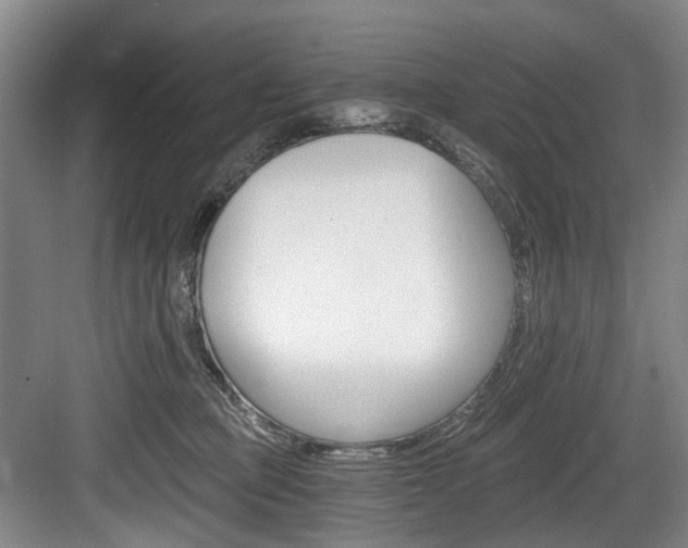 X0000084040373200702160859