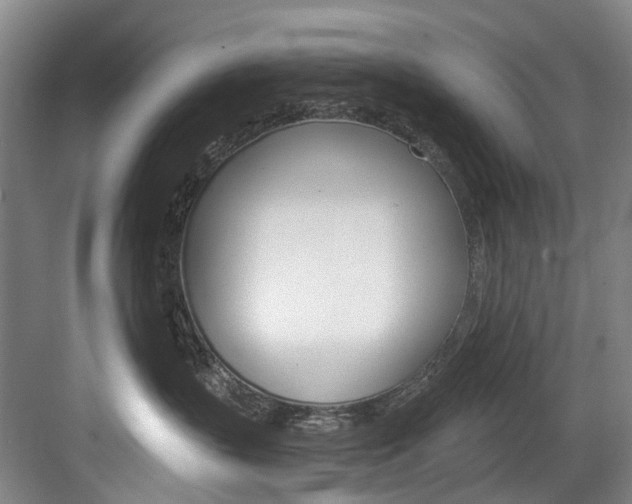 X0000084040383200702160900