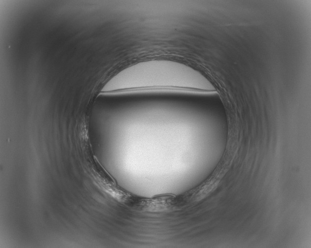 X0000084040384200702160900
