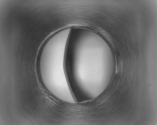 X0000084040387200702160859
