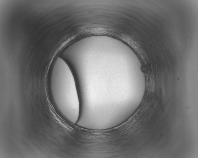 X0000084040390200702160859