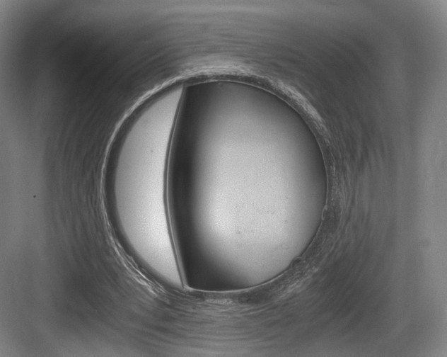 X0000084040391200702160859