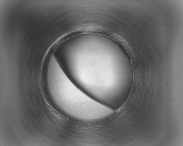 X0000084040392200702160859