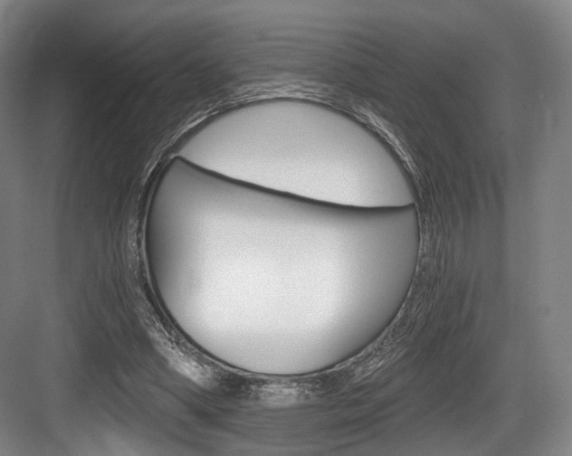 X0000084040394200702160859