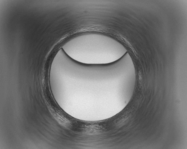 X0000084040396200702160859