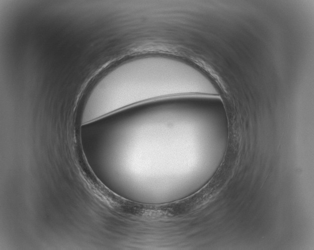 X0000084040399200702160858