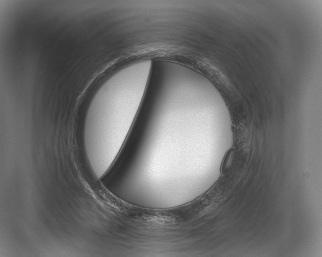X0000084040400200702160858