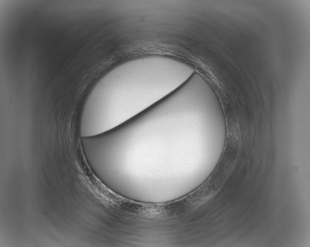 X0000084040402200702160858