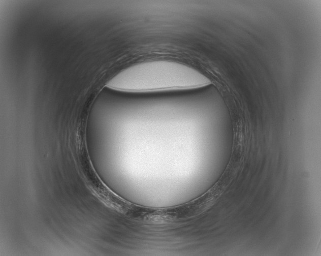 X0000084040408200702160858