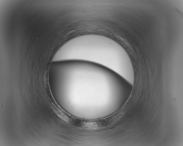 X0000084040409200702160858