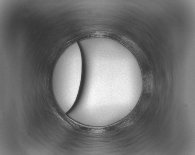 X0000084040410200702160858