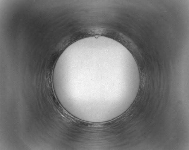 X0000084040414200702160858