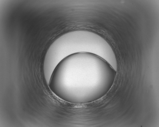 X0000084040415200702160858