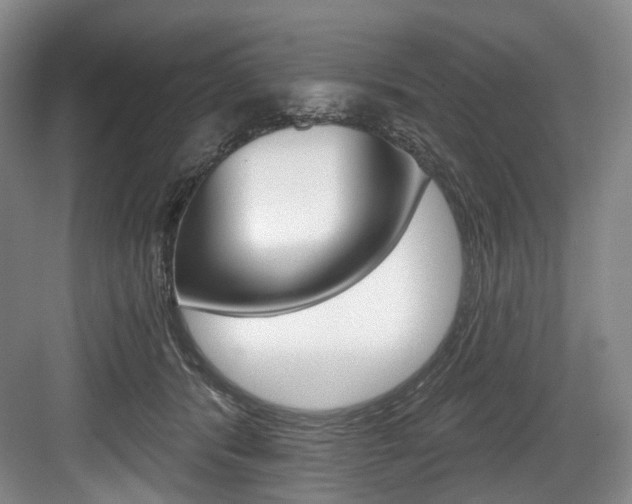 X0000084040416200702160858