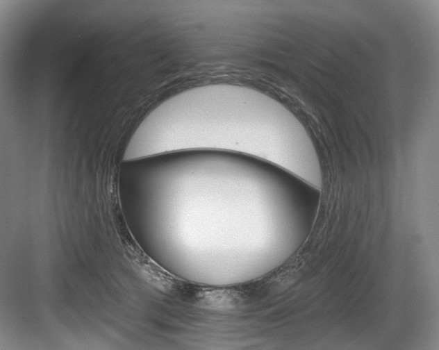 X0000084040417200702160858