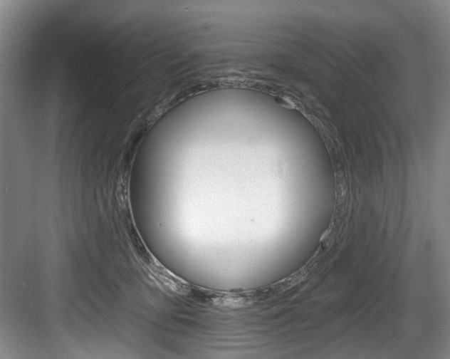 X0000084040419200702160858