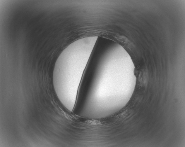 X0000084040424200702160858