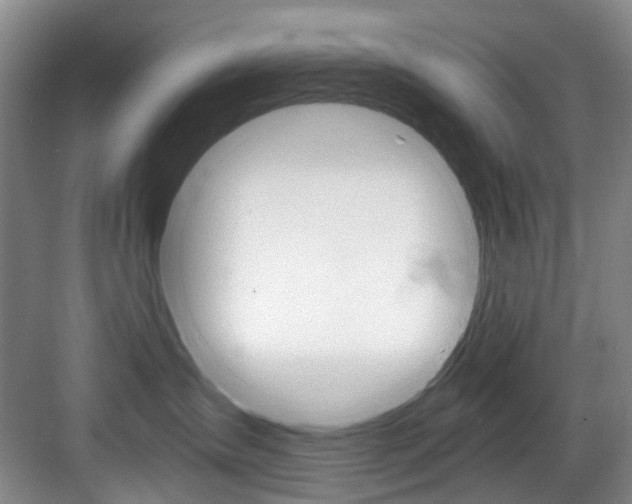 X0000084040431200702160858