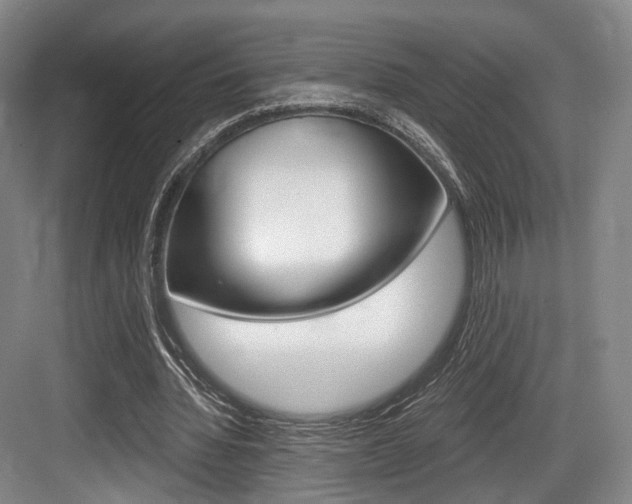 X0000084040436200702160857