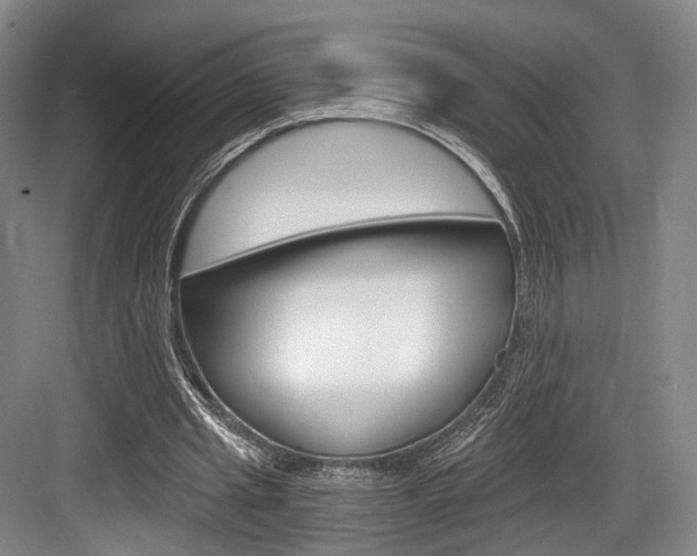X0000084040437200702160857