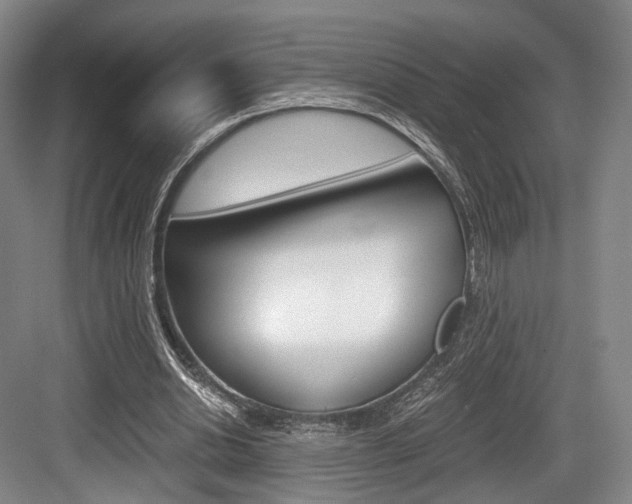 X0000084040438200702160857