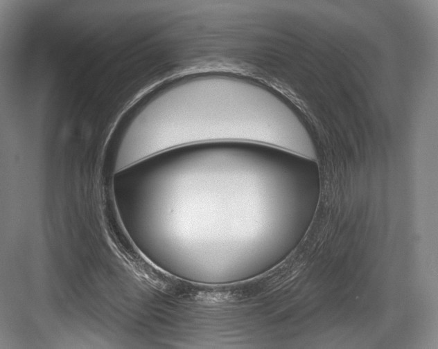 X0000084040440200702160857