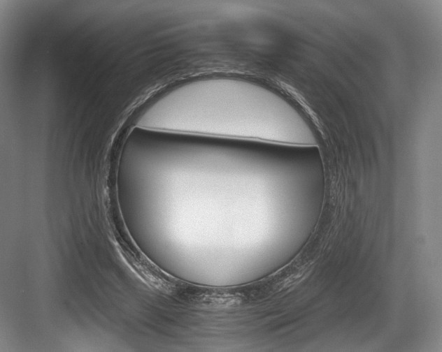 X0000084040443200702160857