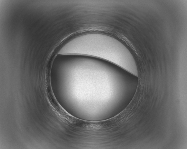 X0000084040444200702160857