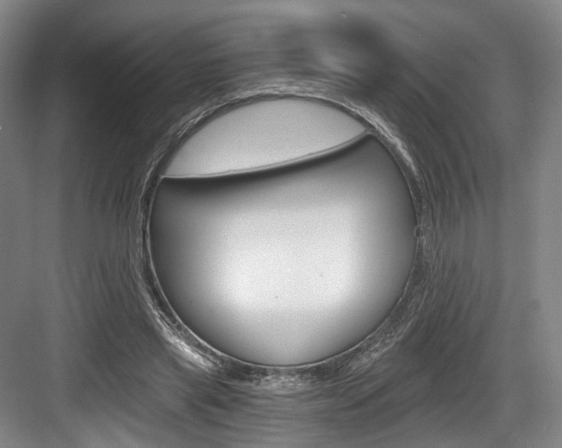 X0000084040445200702160857