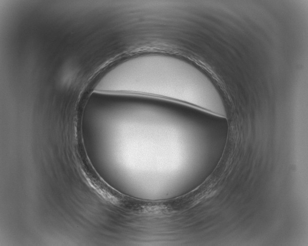 X0000084040446200702160857