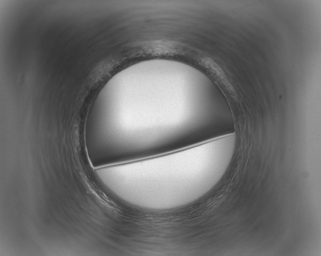 X0000084040447200702160857