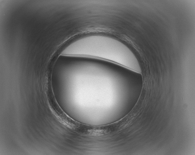 X0000084040448200702160857