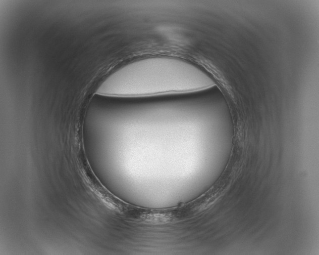 X0000084040449200702160857