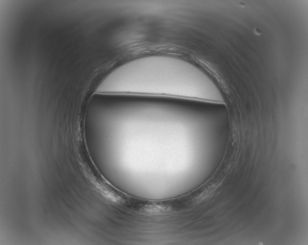 X0000084040453200702160857