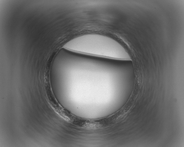 X0000084040455200702160858