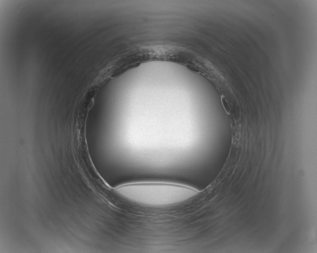 X0000084040456200702160858