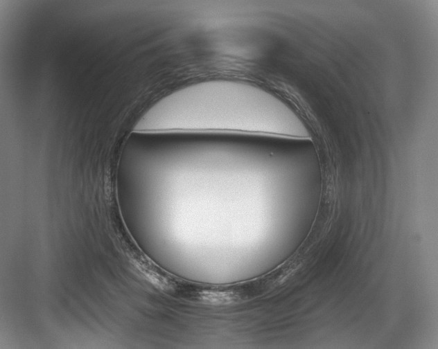 X0000084040457200702160858