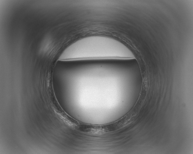 X0000084040458200702160858