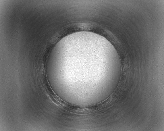 X0000084040459200702160858