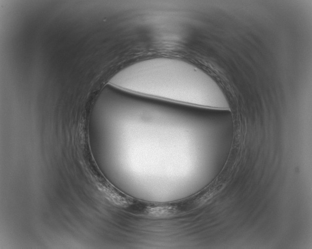 X0000084040461200702160858